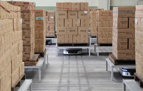 2021摯物獎揭曉 工業(yè)互聯網裝卸搬運領域創(chuàng)新企業(yè)與案例深度解析