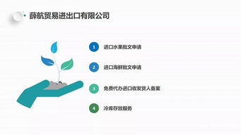 獨家分享 薛航物流綜合貨運代理一站式服務(wù)，高效裝卸搬運助力企業(yè)騰飛